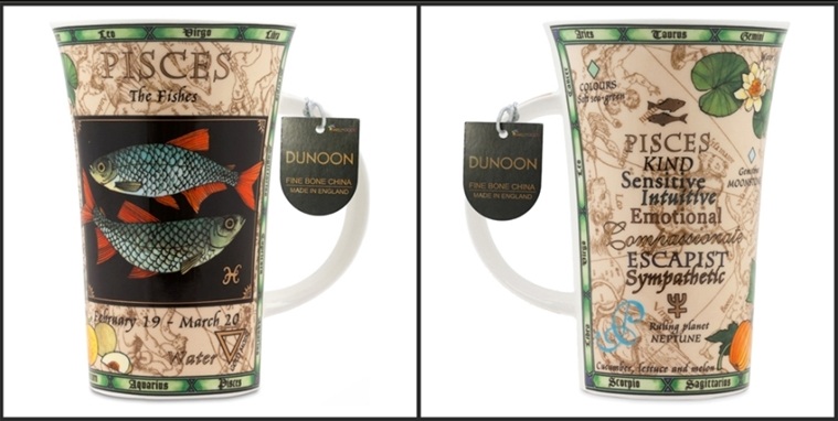 双鱼座正反面图