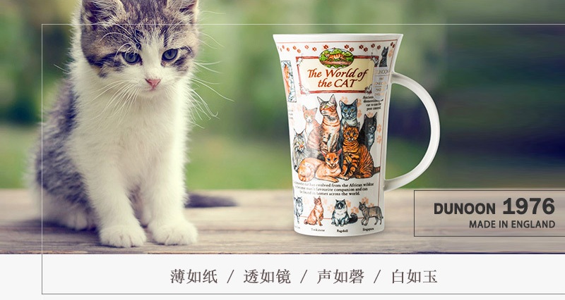 猫的世界情境图