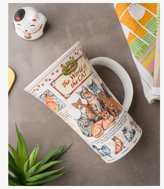 猫的世界右侧图