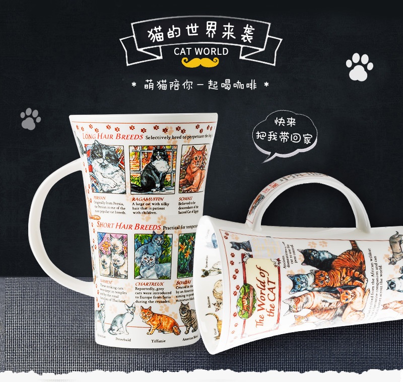 猫的世界情境图