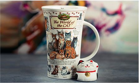 猫的世界情境图