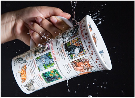 猫的世界情境图